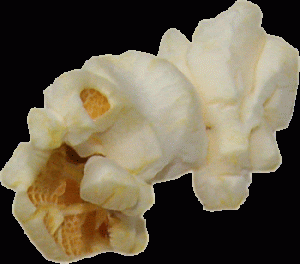 PopcornKernel