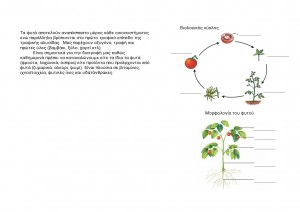 fulladio_laxanokhpos1_Page_2