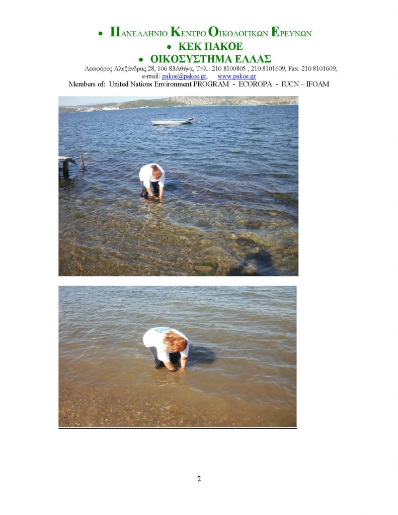 ΔΕΛΤΙΟ ΤΥΠΟΥ 213_Page_2