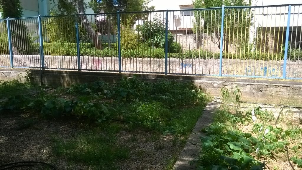 WP_20170703_007