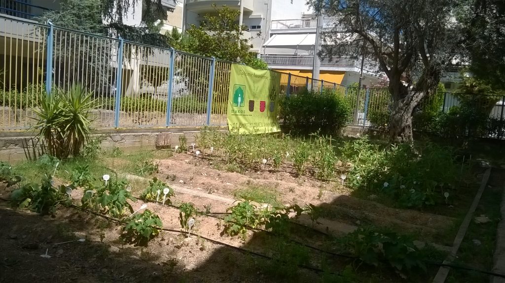 WP_20170703_010