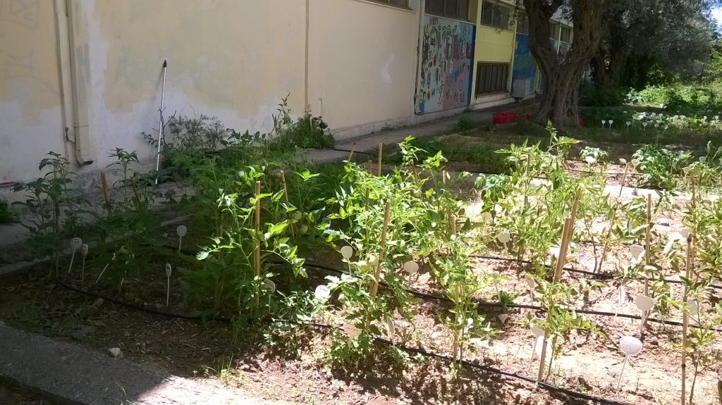 WP_20170703_013