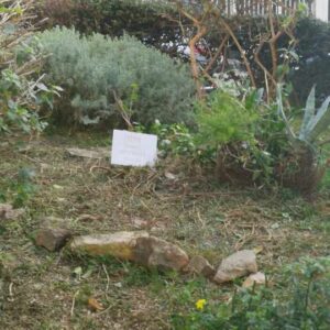 Τα εγκλήματα της Δημοτικής Αρχής στην ΝΕΑ ΙΩΝΙΑ