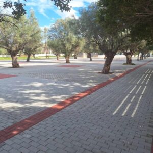 Γέμισε τσιμέντο η Κινέττα, εκατομμύρια μέλισσες δολοφονημένες και η ρύπανση σήμερα στην Αθήνα – Τα Οικο – γεγονότα της εβδομάδας που πέρασε