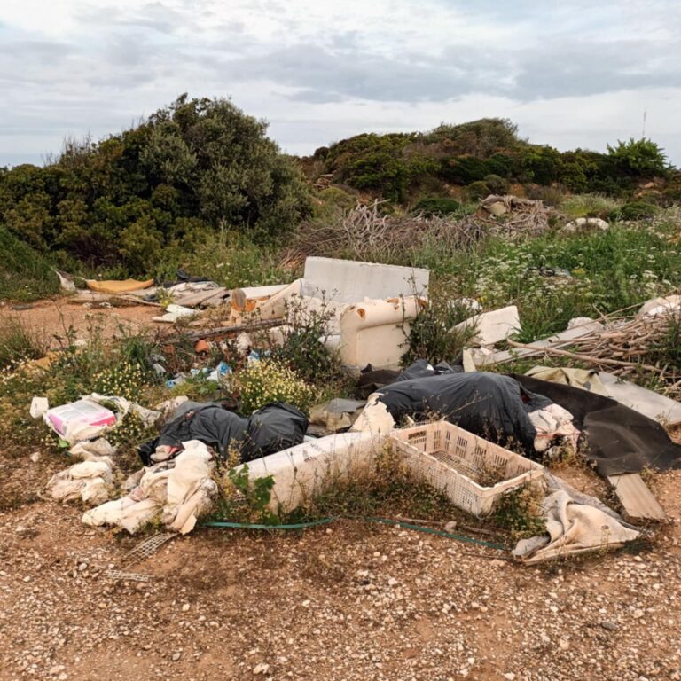 ΘΈΜΑ 1.  ΕΠΙΚΙΝΔΥΝΟ ΤΟ ΝΕΡΟ ΑΝΘΡΩΠΙΝΗΣ ΚΑΤΑΝΑΛΩΣΗΣ ΣΤΗΝ ΚΑΡΥΣΤΟ ΘΕΜΑ 2. ΓΕΜΙΣΕ ΠΑΡΑΝΟΜΕΣ ΚΑΙ ΤΟΞΙΚΕΣ ΧΩΜΑΤΕΡΕΣ (ΧΑΔΑ) Η ΕΝΔΟΤΕΡΗ ΠΕΡΙΟΧΗ ΤΗΣ ΚΑΡΥΣΤΟΥ