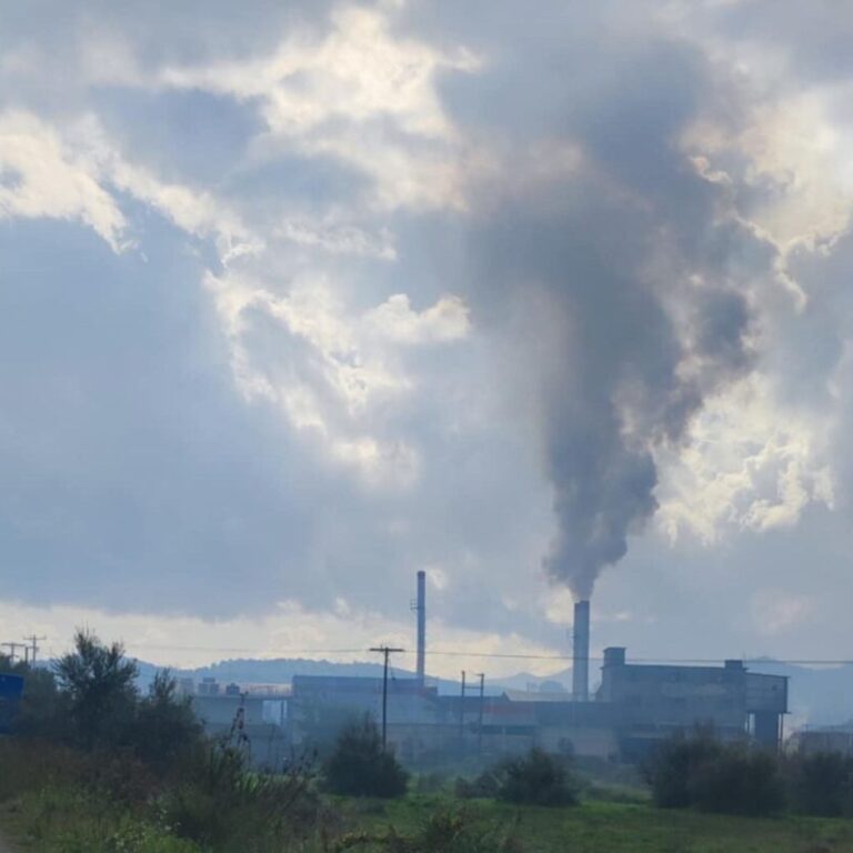 ΠΡΟΒΛΗΜΑΤΙΚΑ ΤΑ ΠΥΡΗΝΕΛΑΙΟΥΡΓΕΙΑ